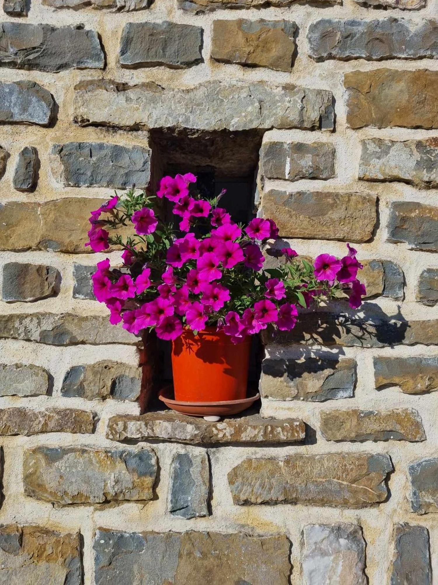 Gite Les Trois Abeilles Bésignan Εξωτερικό φωτογραφία